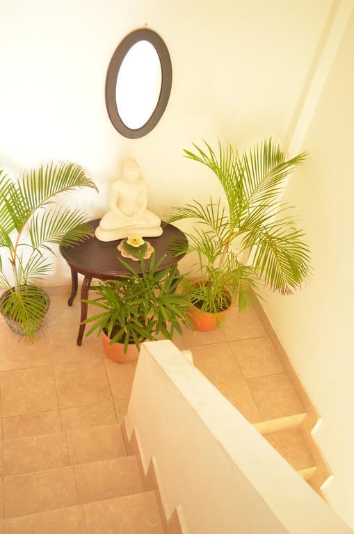 Frangipani Apartment Dehiwala-Mount Lavinia Екстериор снимка